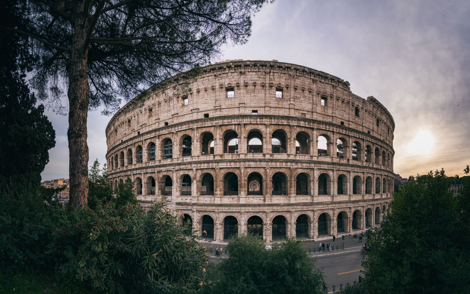 The Colosseum in Rome seen from a nearby hill at sunset, framed by a stone pine and shrubs