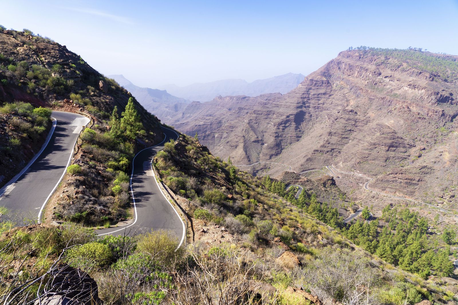 Carretera de montaña serpenteante en el interior de Gran Canaria, con barrancos y pinares al fondo