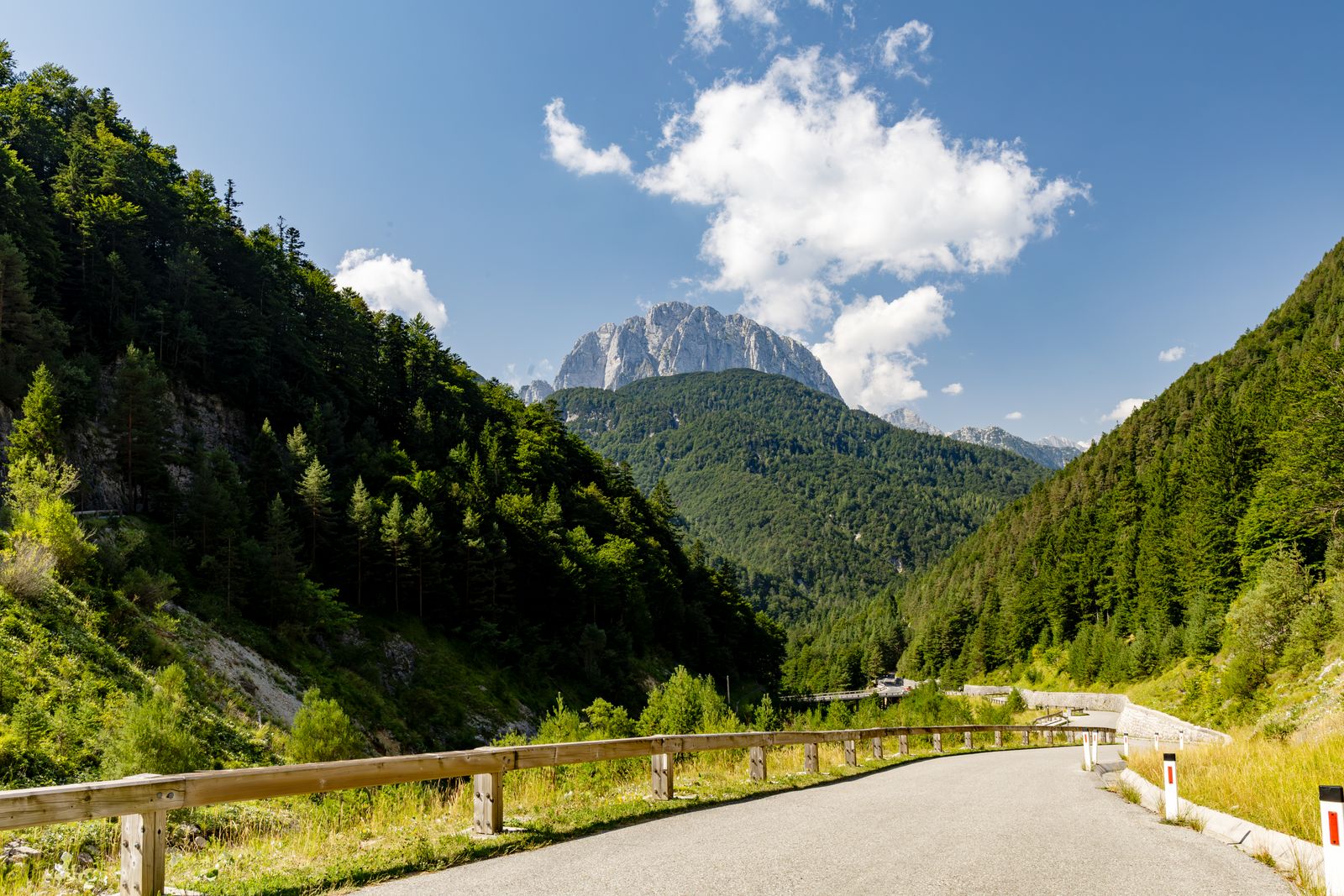 A road winding through a forested valley toward the Julian Alps in Slovenia