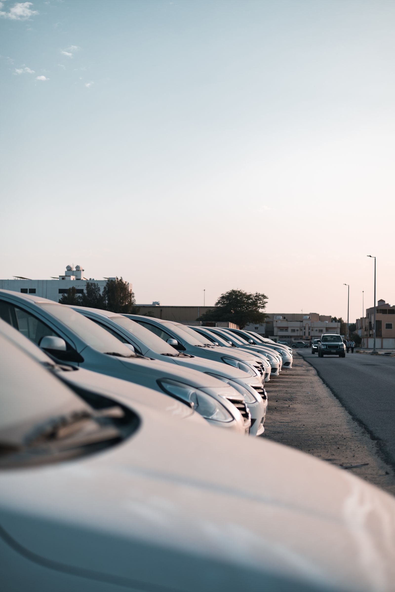 Row of identical white rental cars parked side by side