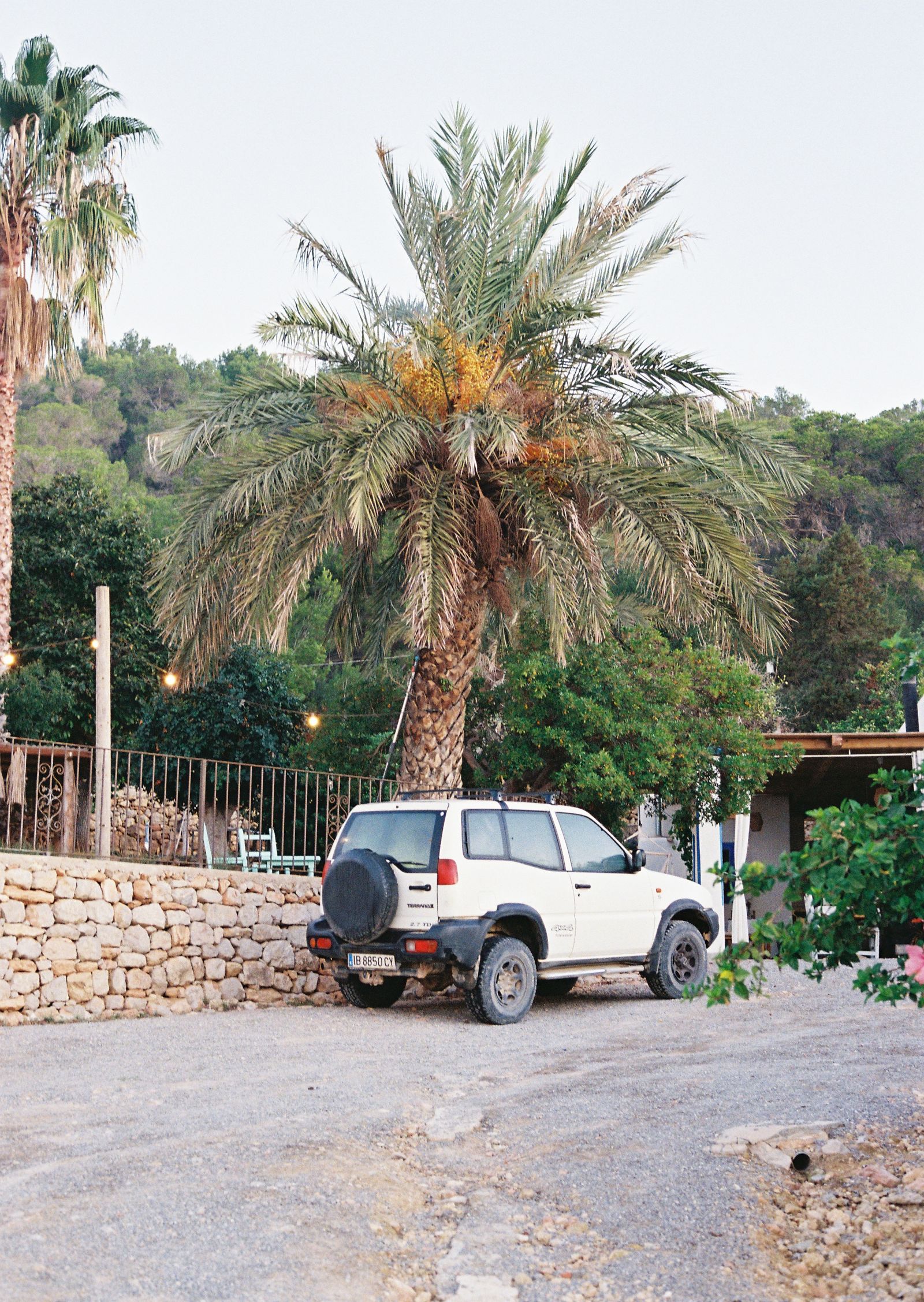Jeep blanche garée sous un palmier sur un chemin rural à Ibiza