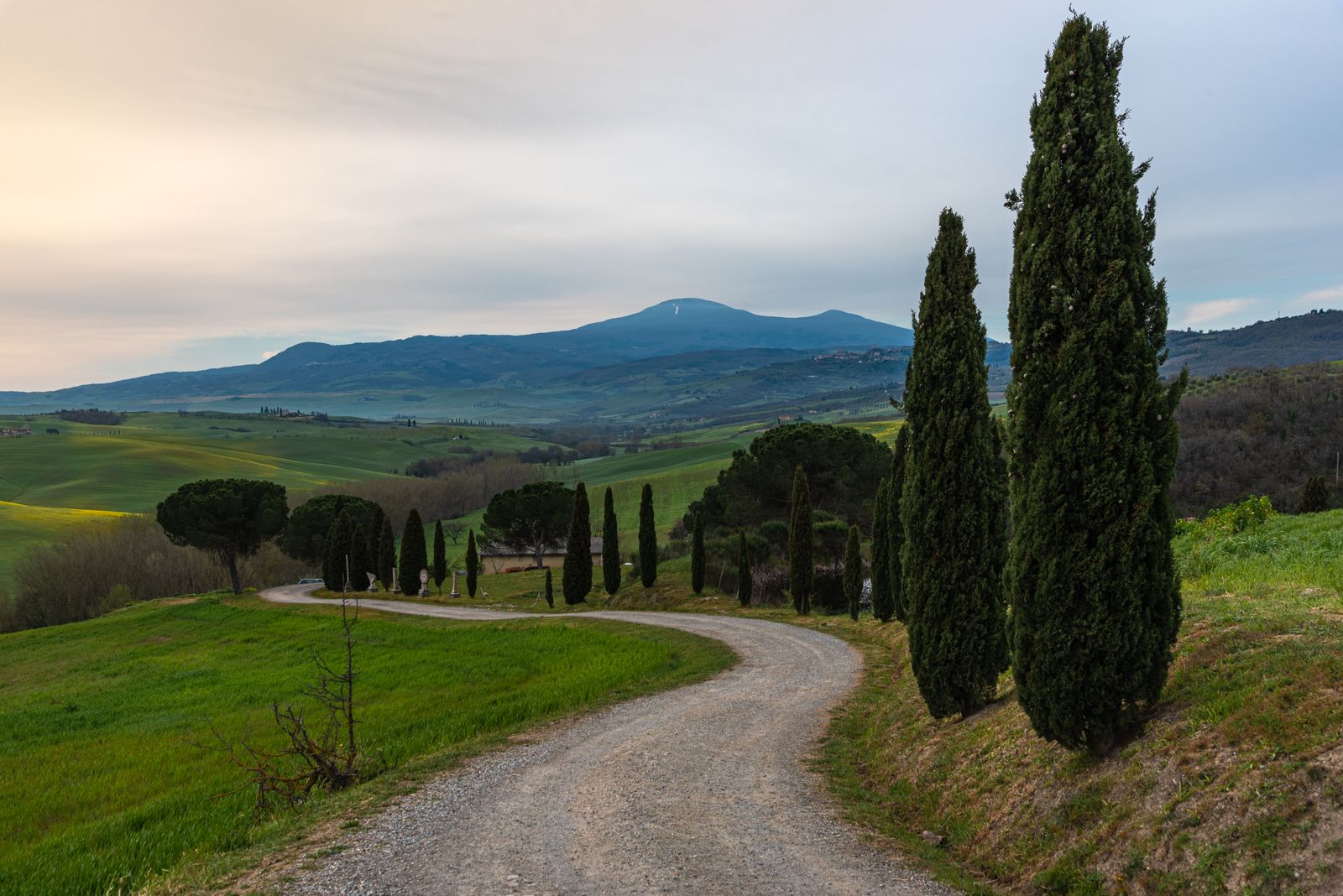 Coche en una carretera entre cipreses del Val d'Orcia, Toscana