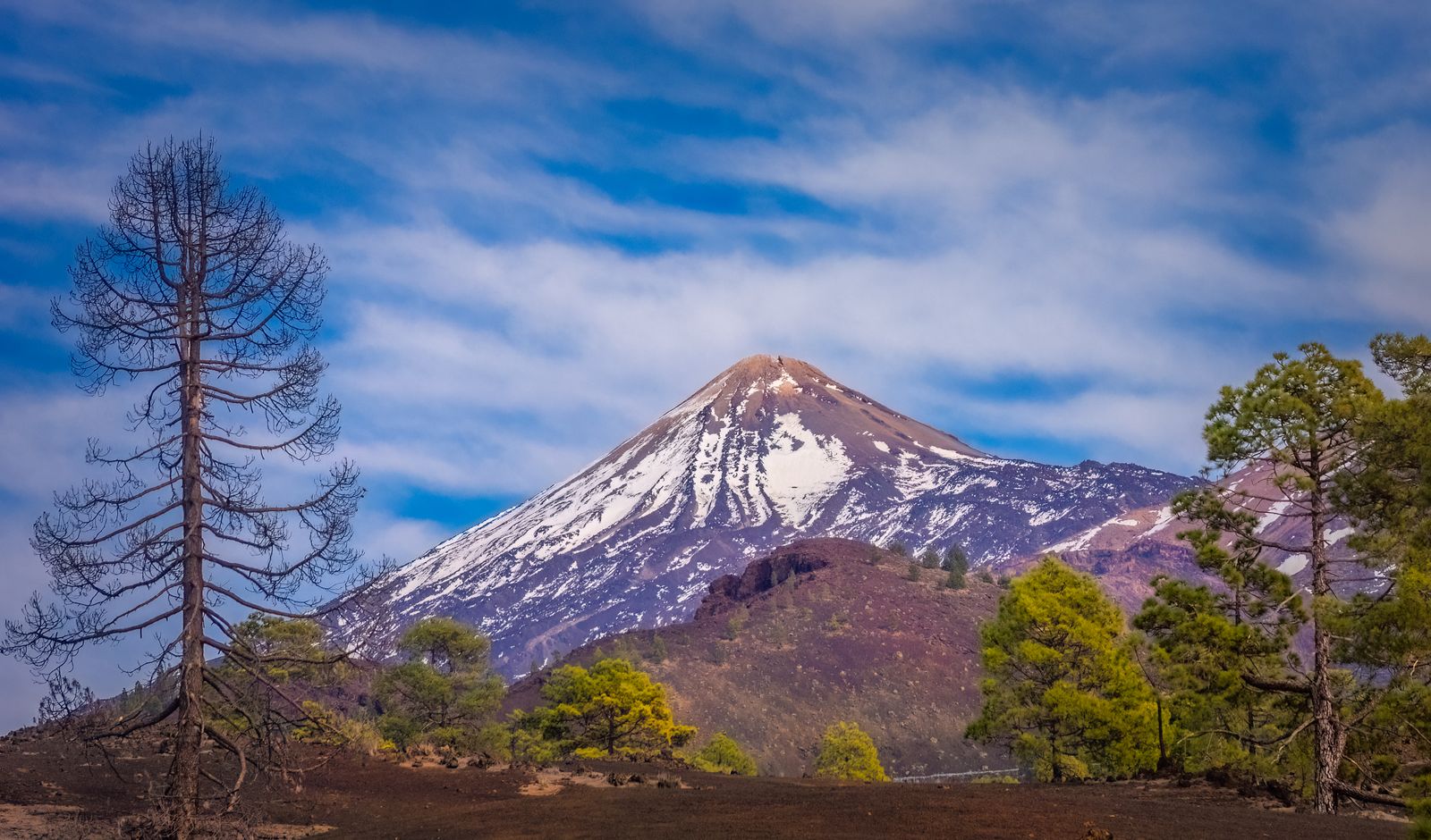 Il Teide innevato tra i pini del Parco Nazionale, sotto un cielo azzurro con nuvole