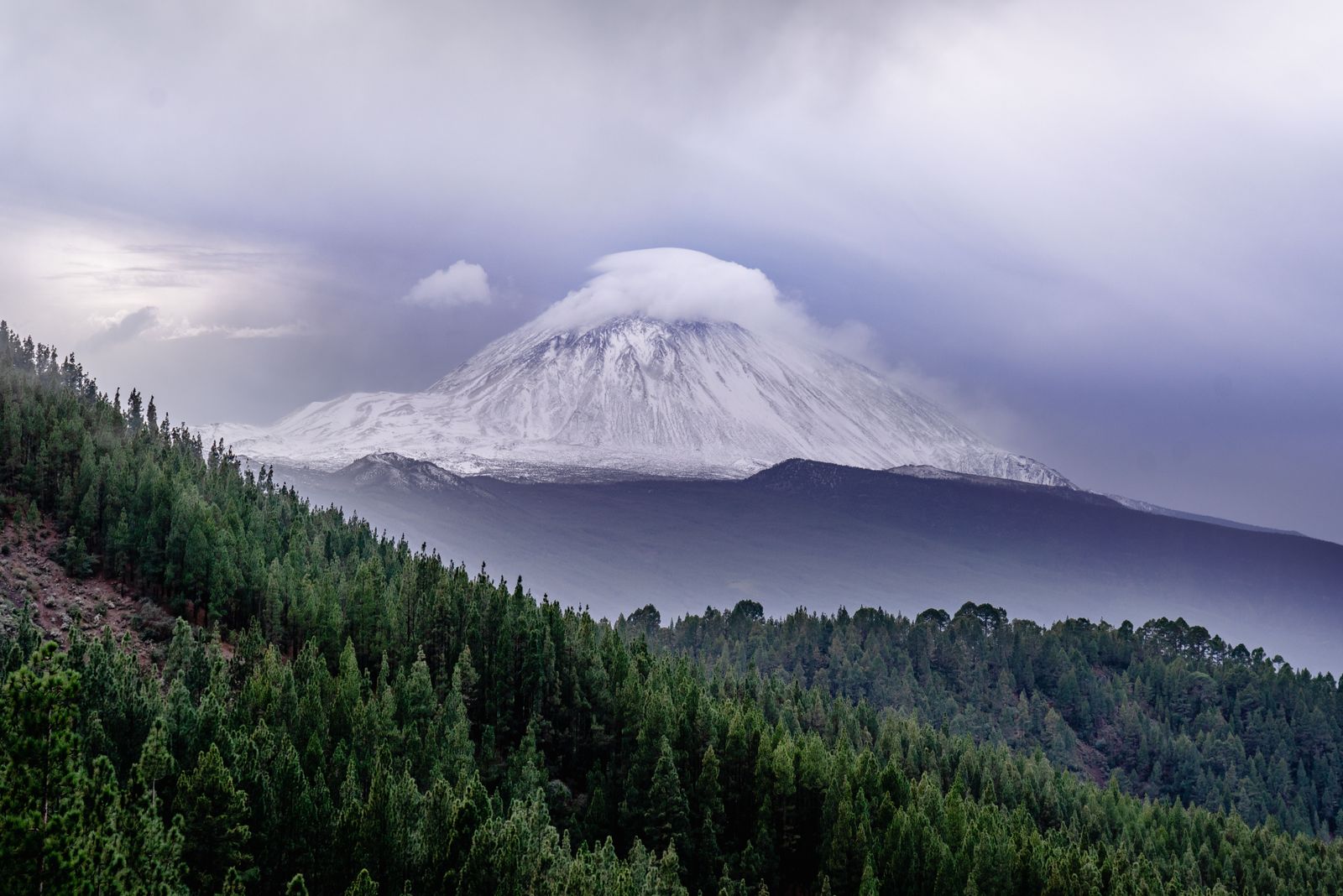 Der schneebedeckte Teide über einem dunklen Kiefernwald an einem bewölkten Tag im Norden Teneriffas